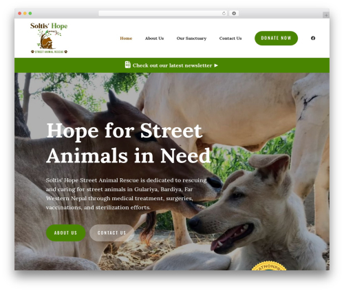 Divi WordPress theme - soltishopestreetanimalrescue.org