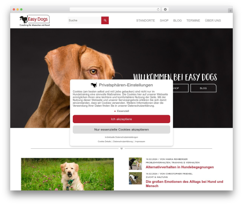 Newsletter2Go free WordPress plugin - easy-dogs.net