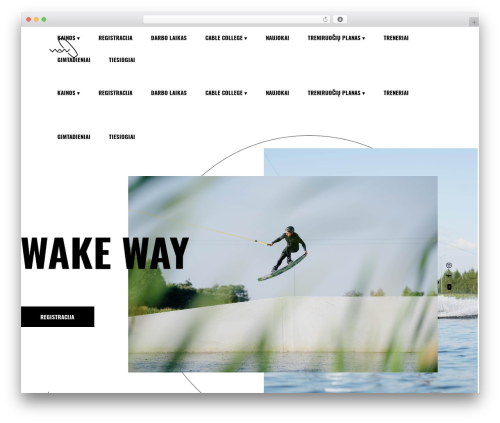 Manon core WordPress plugin - wakeway.lt