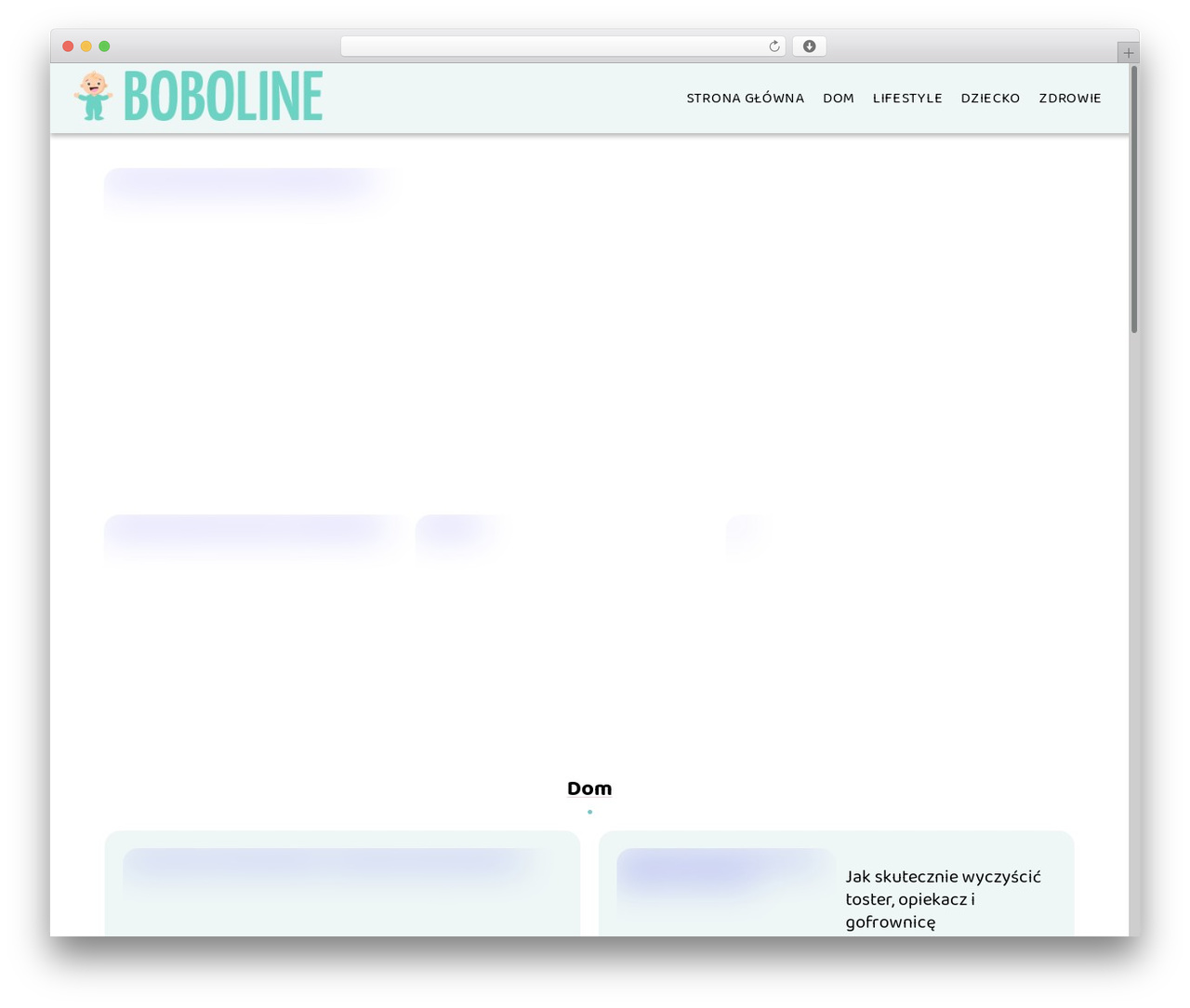 tp_theme_maker best WordPress theme - boboline.pl