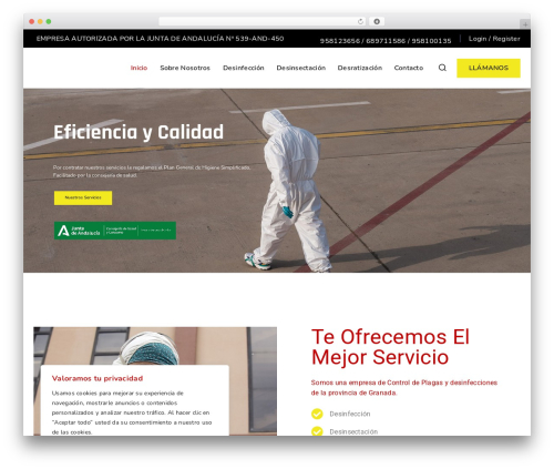 baseTheme WordPress theme design - sanipesa.es