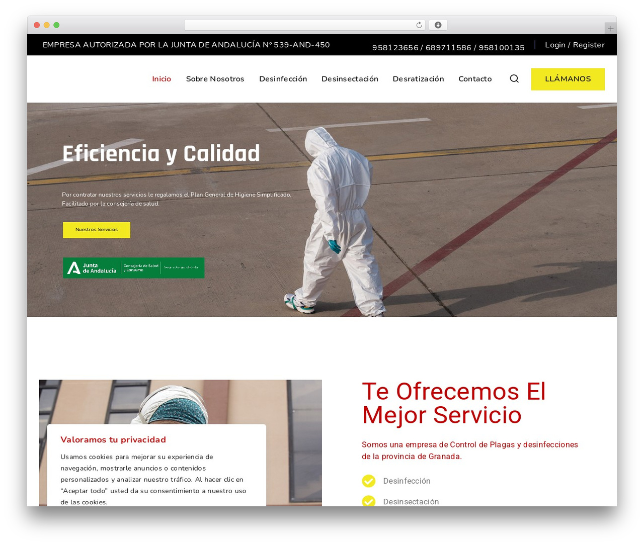 Basetheme WordPress theme design - sanipesa.es Basetheme WordPress theme design - sanipesa.es