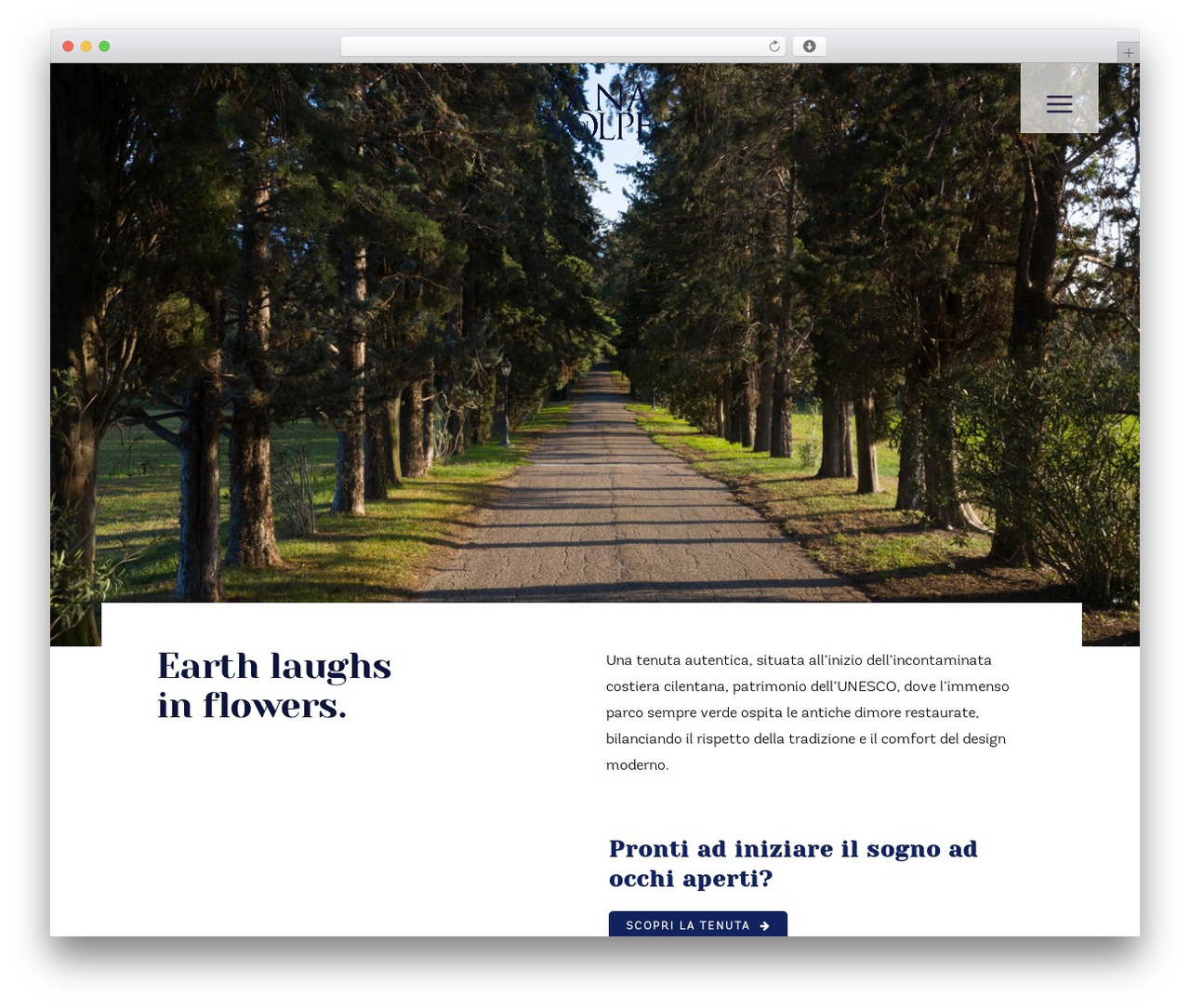 Bridge WordPress theme design - tanadivolpe.com