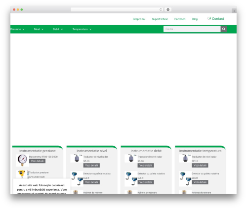 Hello Elementor theme WordPress - fidelisgrup.ro
