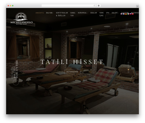 Thecappa elementor WordPress plugin - michelangelo.com.tr