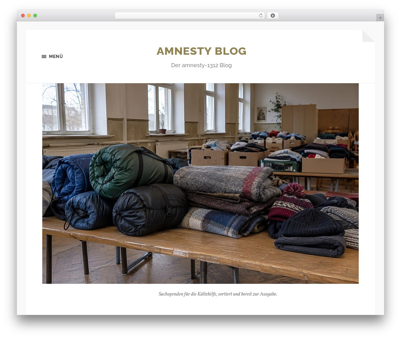 Theme WordPress Hoffman - amnesty-1312.de