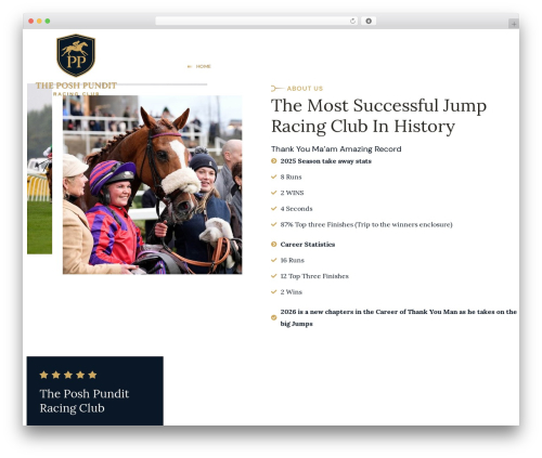 Classic elementor addons pro WordPress plugin - poshpundit.co.uk