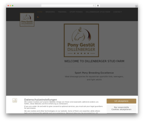 WordPress theme Divi - sportponys.net