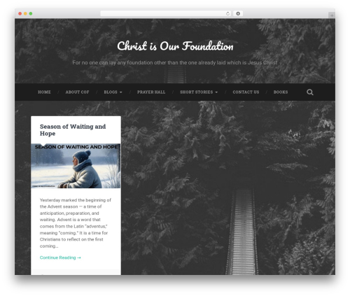 RS WP Books ShowCase – Best WordPress Plugin For Authors And Book Affiliates. (rs-wp-books-showcase) free WordPress plugin - christisourfoundation.com RS WP Books ShowCase – Best WordPress Plugin For Authors And Book Affiliates. (rs-wp-books-showcase) free WordPress plugin - christisourfoundation.com