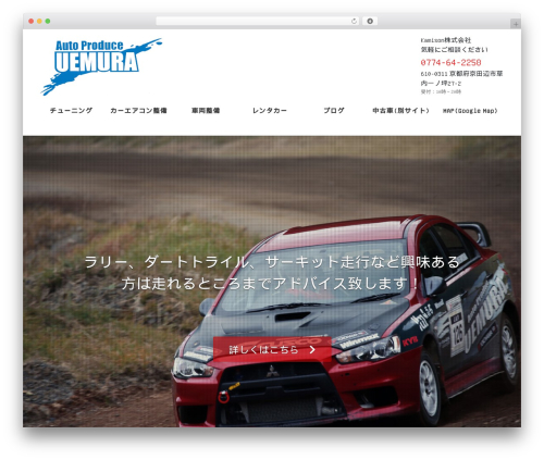 Lightning video unit WordPress plugin - apuemura.com