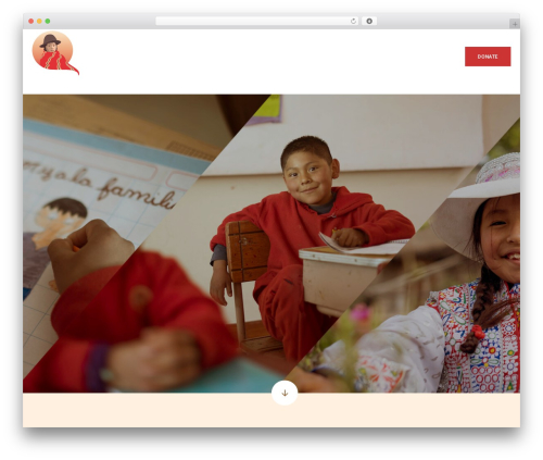 WordPress theme Elevation Web - quechuabenefit.org