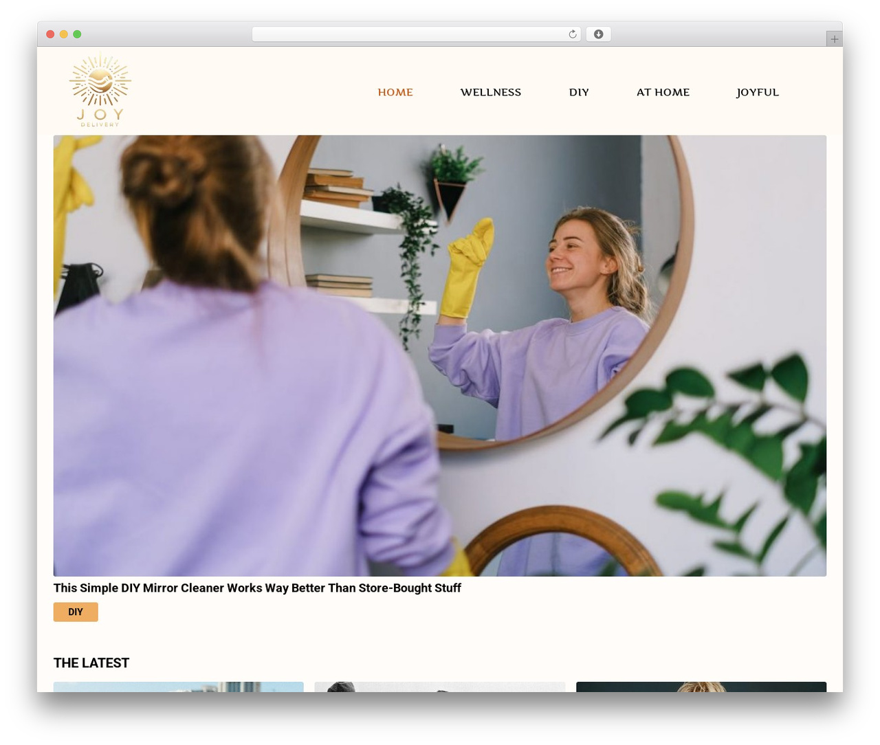 WordPress theme DeVoe Child Theme - joydelivery.com WordPress theme DeVoe Child Theme - joydelivery.com