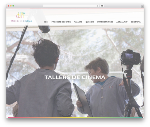 Hogash mailchimp WordPress plugin - tallersdecinema.com