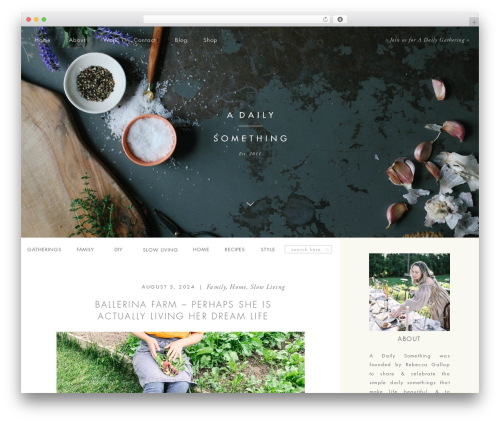 WordPress theme Showit - adailysomething.com