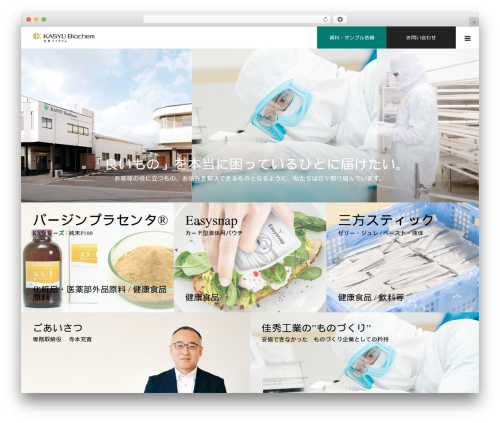 noel-child WordPress theme - kasyu-biochemistry.com