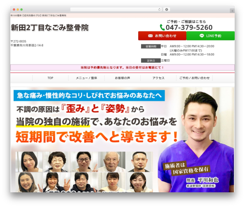 Selfull premium WordPress theme - shindennagomi.com