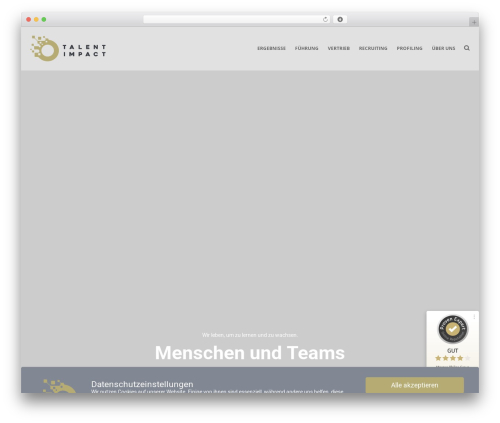 VIM WordPress theme - talent-impact.com