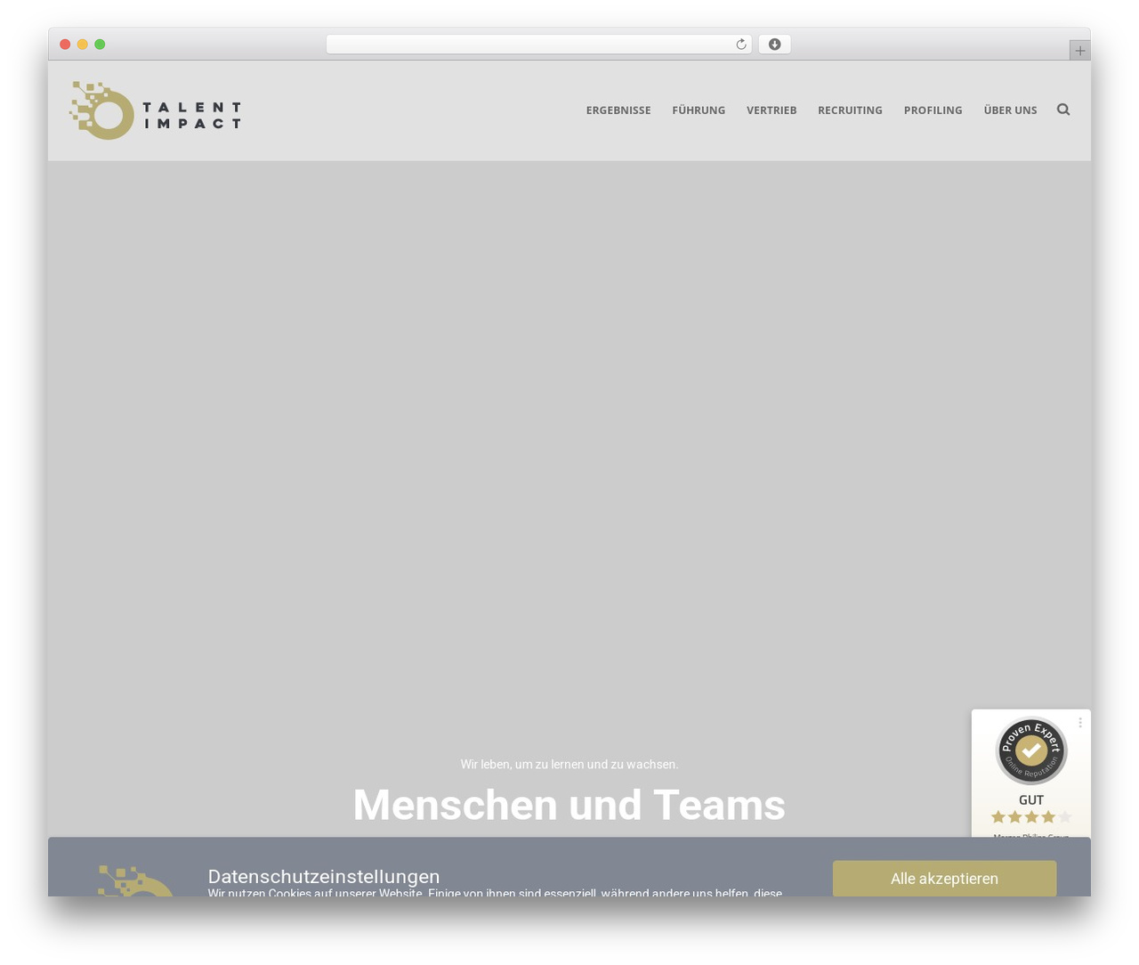 VIM WordPress theme - talent-impact.com VIM WordPress theme - talent-impact.com