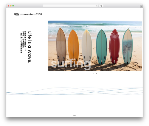 WordPress theme JAMTPL - momentum2100.com