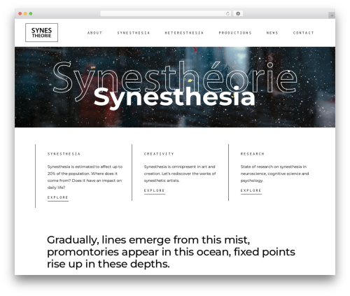Amedeo core WordPress plugin - synestheorie.fr