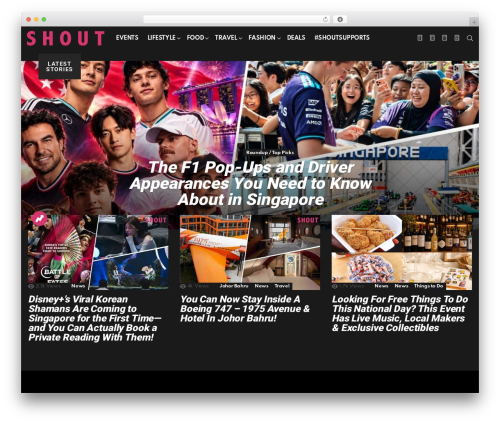 Dhvc form WordPress plugin - shout.sg
