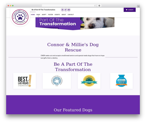 Buzz To The Rescues WordPress theme - connorandmilliesdogrescue.org
