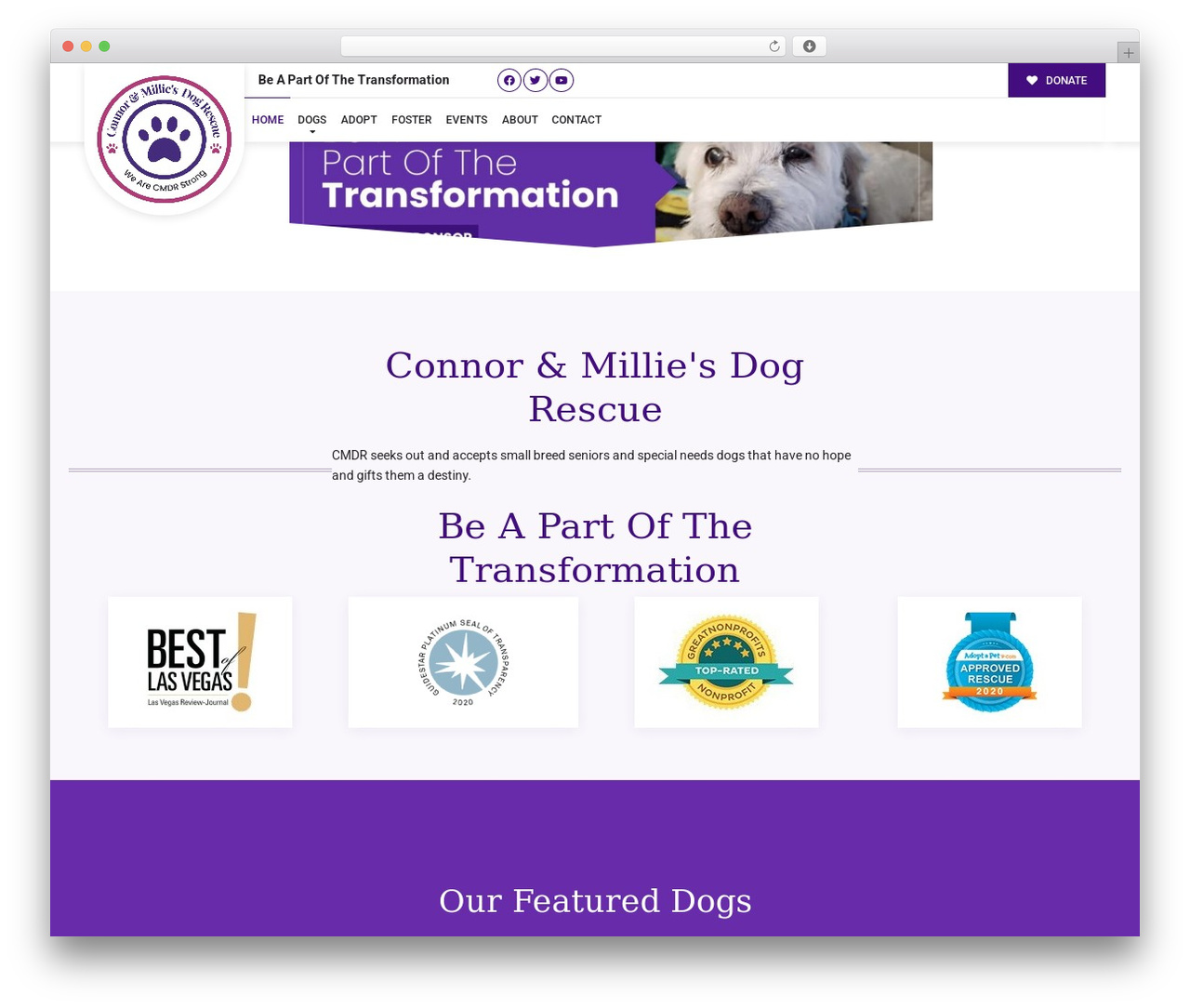 Buzz To The Rescues WordPress theme - connorandmilliesdogrescue.org Buzz To The Rescues WordPress theme - connorandmilliesdogrescue.org