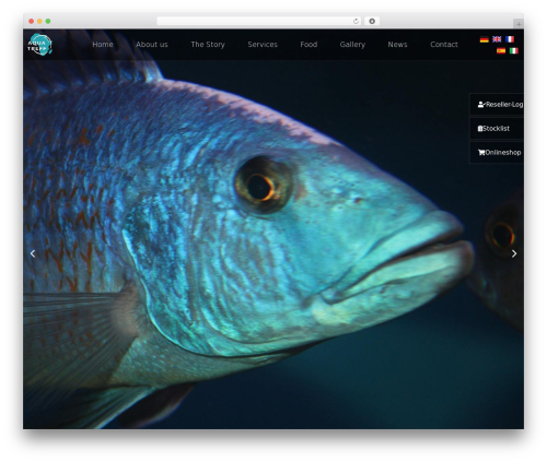 PWA for WP & AMP (pwa-for-wp) free WordPress plugin - aqua-treff.de PWA for WP & AMP (pwa-for-wp) free WordPress plugin - aqua-treff.de