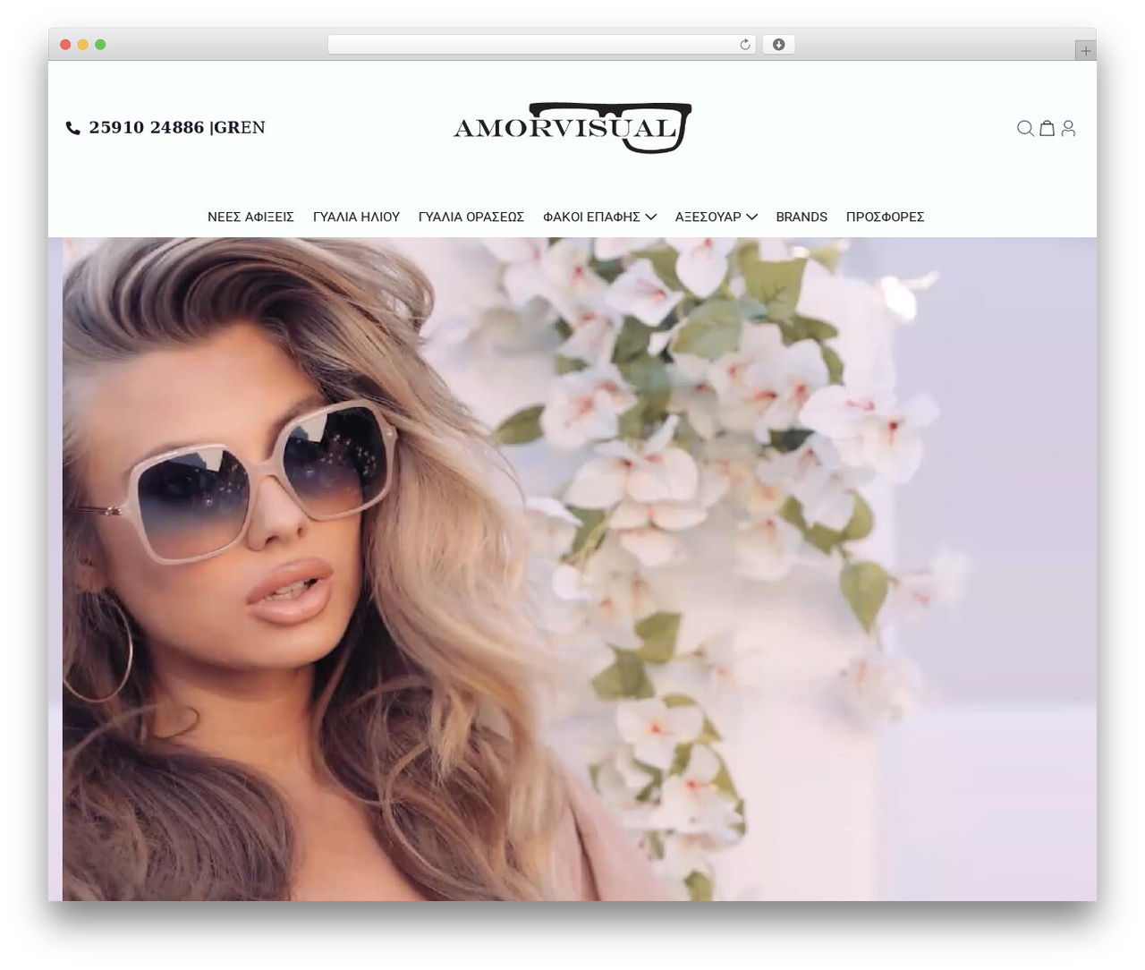 Lioncode Theme WordPress theme - amorvisual.gr Lioncode Theme WordPress theme - amorvisual.gr