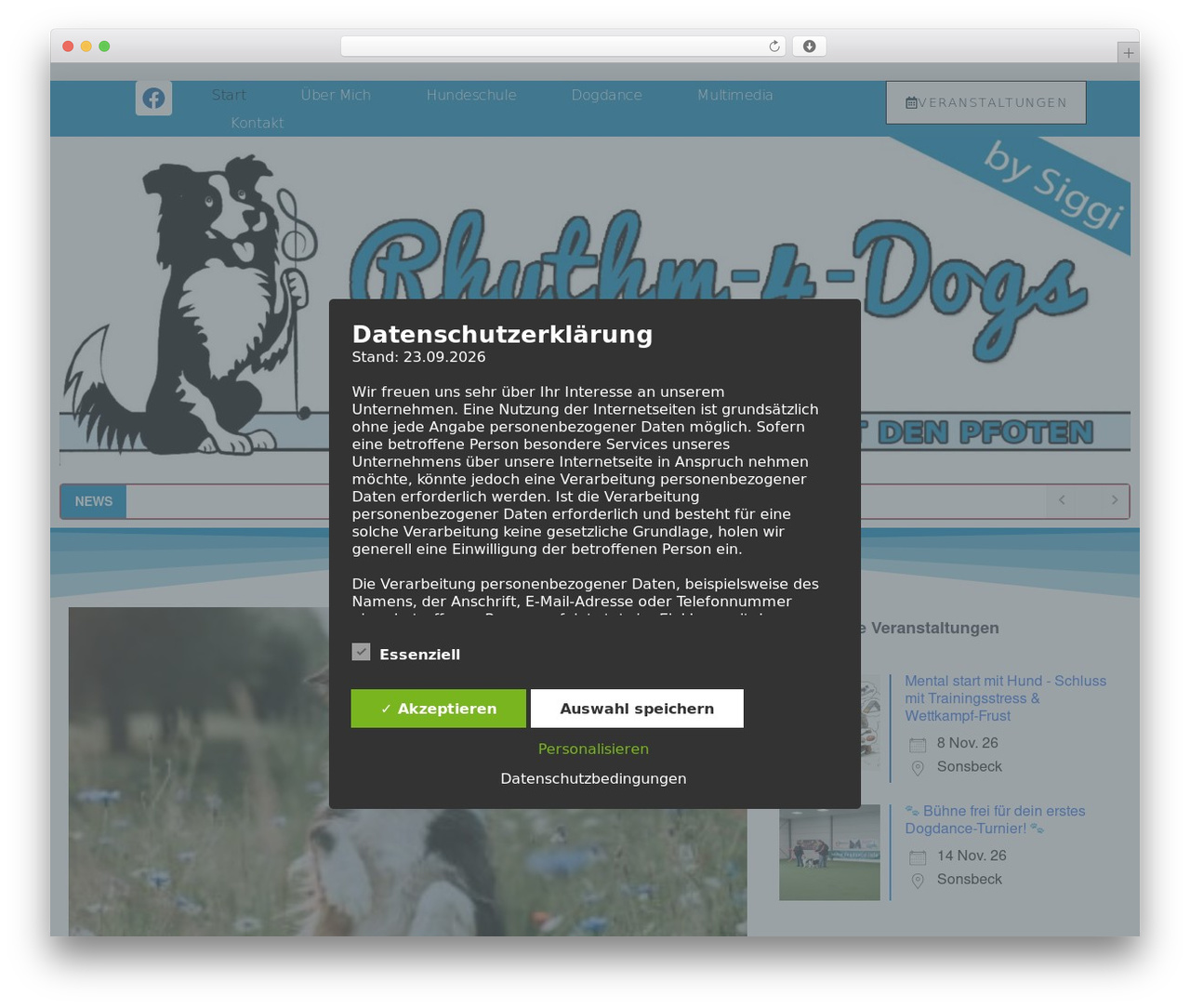 Theme WordPress Page Builder Framework - rhythm-4-dogs.de