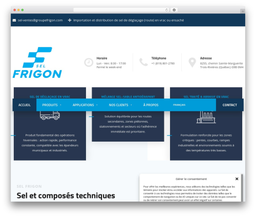 Trendustry theme WordPress - selfrigon.com