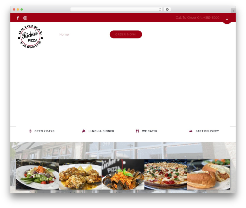 WordPress theme Avada - richiespizzaofdeerpark.com