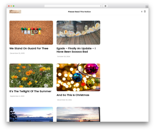 WP theme Disto - sinnerssaintsandgringos.com