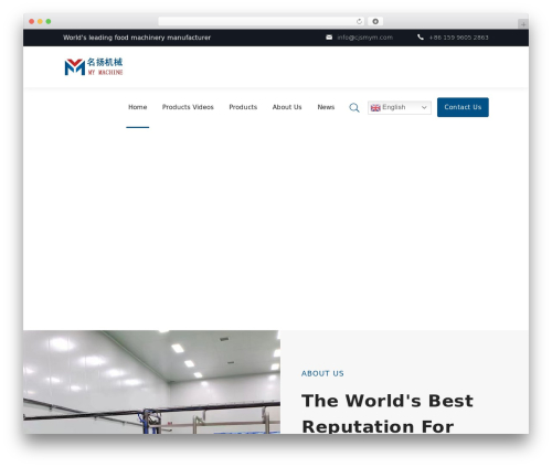 Sytech newsletter WordPress plugin - cjmym.com