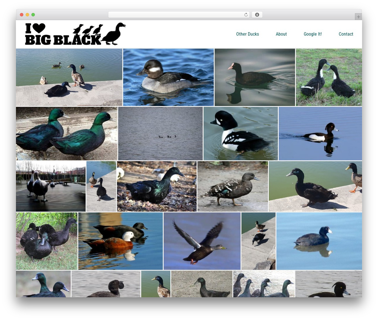 Best WordPress theme Copper Leaf Creative Master Theme - bigblackducks.com Best WordPress theme Copper Leaf Creative Master Theme - bigblackducks.com