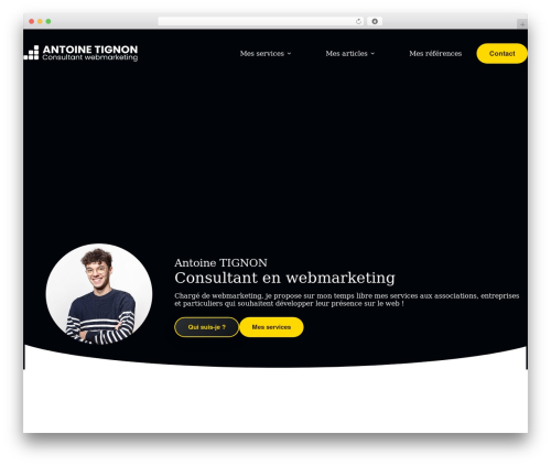 Marqueex WordPress plugin - antoinetignon.com