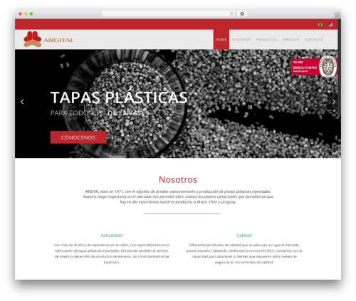 codeworking top WordPress theme - argitalplasticos.com
