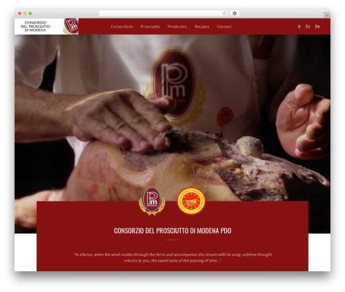 CPM premium WordPress theme - consorzioprosciuttomodena.it