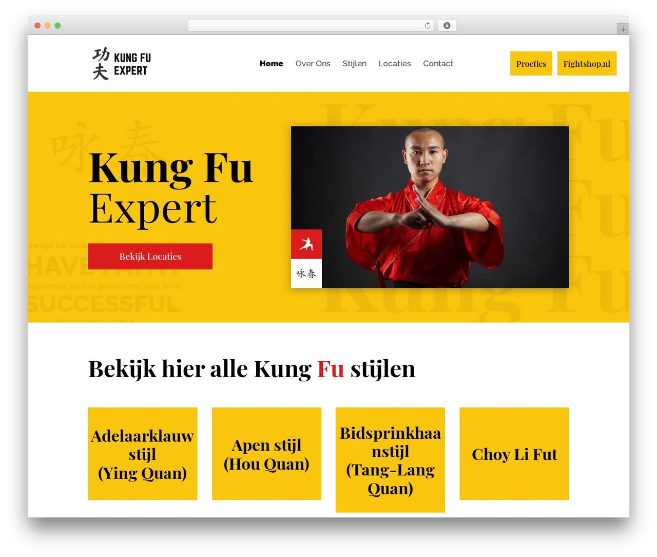 Divi theme WordPress - kungfu.expert