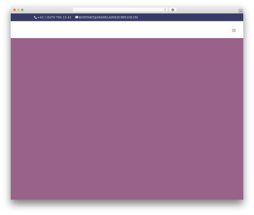 Dp dsgvo toolbox WordPress plugin - madelainezurfluh.ch