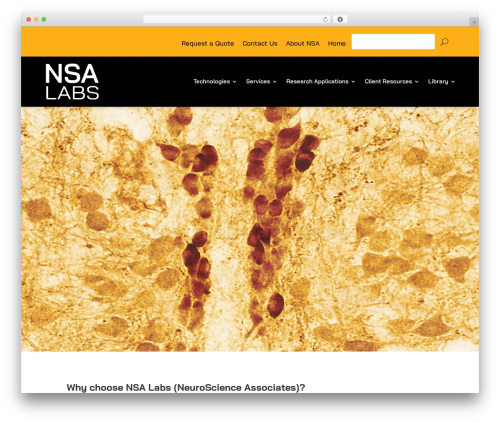 Divi WordPress theme - neuroscienceassociates.com