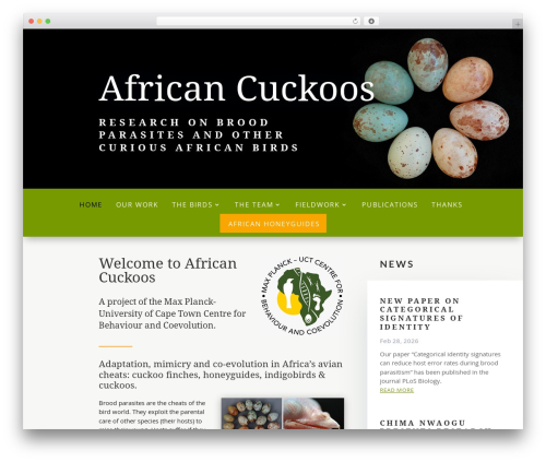 Divi WP theme - africancuckoos.com
