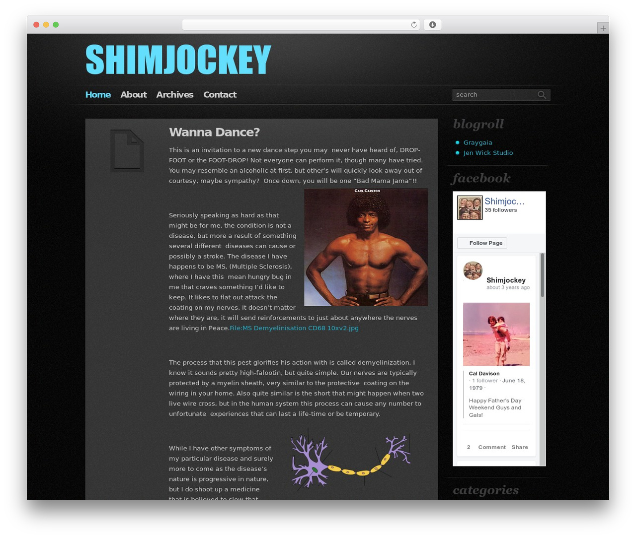 Fast Blog WordPress theme - shimjockey.com