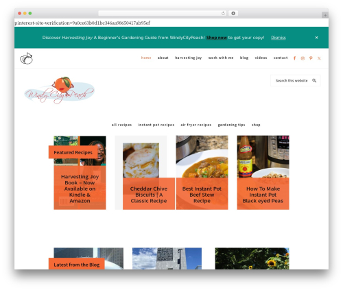 Genesis theme WordPress - windycitypeach.com