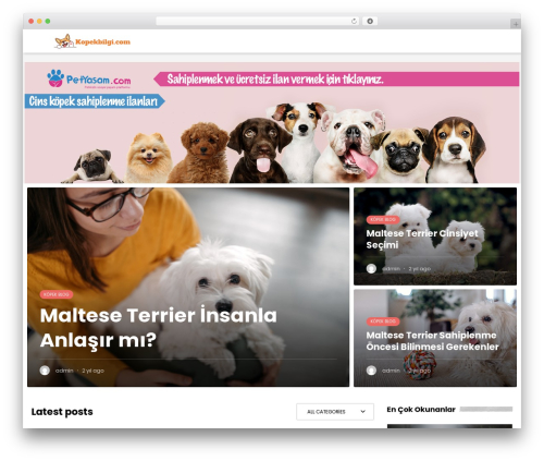 WDV MailChimp Ajax (wdv-mailchimp-ajax) free WordPress plugin - kopekbilgi.com WDV MailChimp Ajax (wdv-mailchimp-ajax) free WordPress plugin - kopekbilgi.com