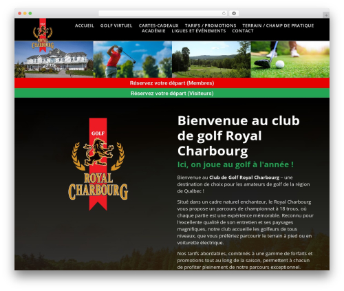 Raven WordPress plugin - royalcharbourg.com