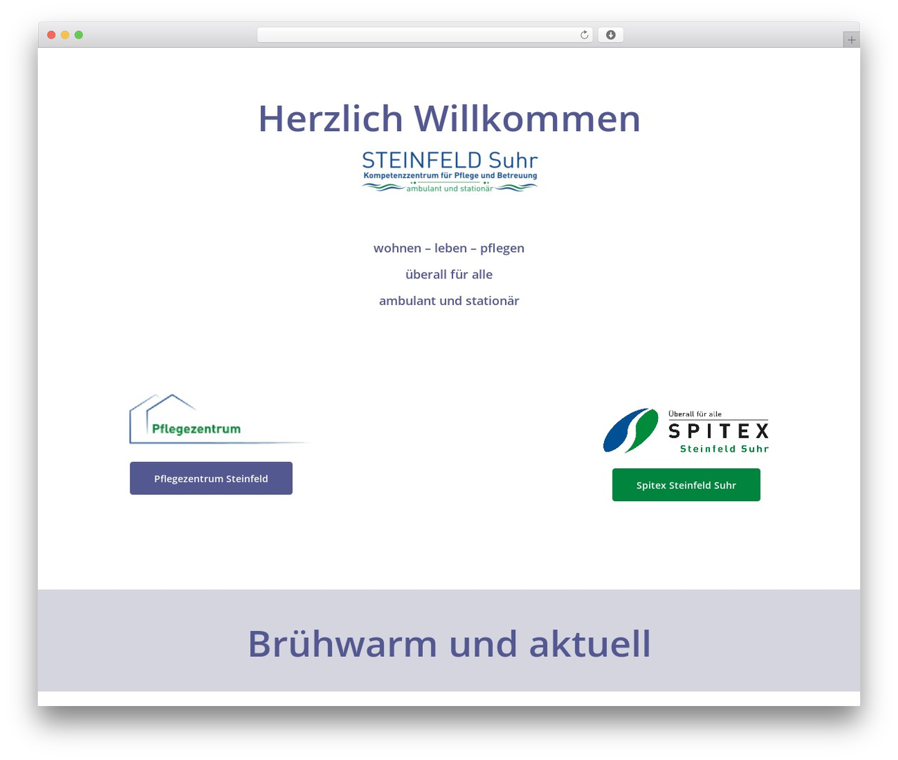 Maxo Theme theme WordPress - steinfeld.ch Maxo Theme theme WordPress - steinfeld.ch