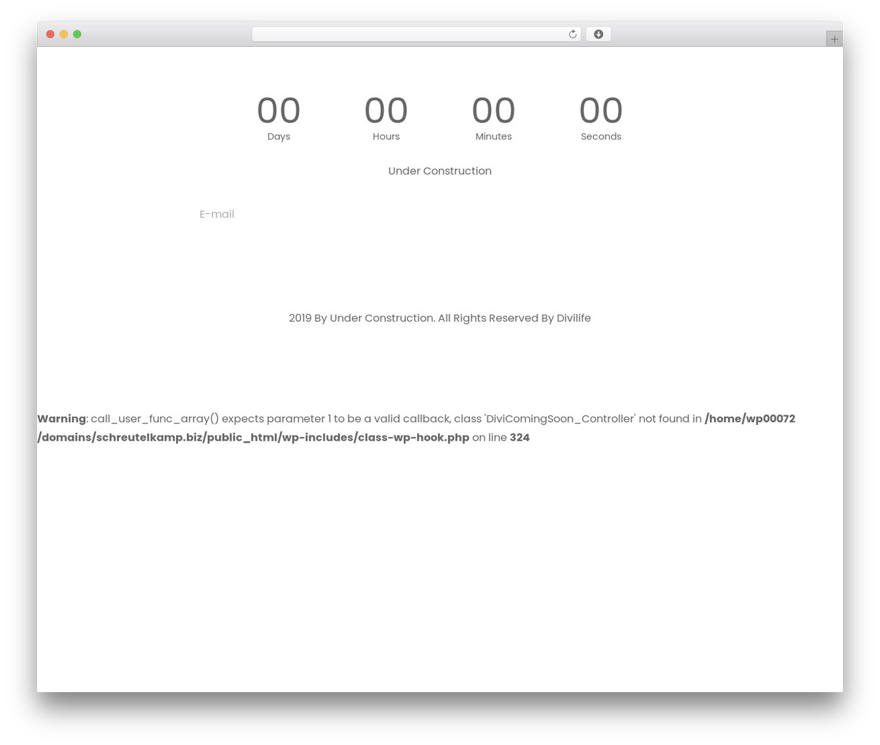 Theme WordPress Divi - schreutelkamp.biz