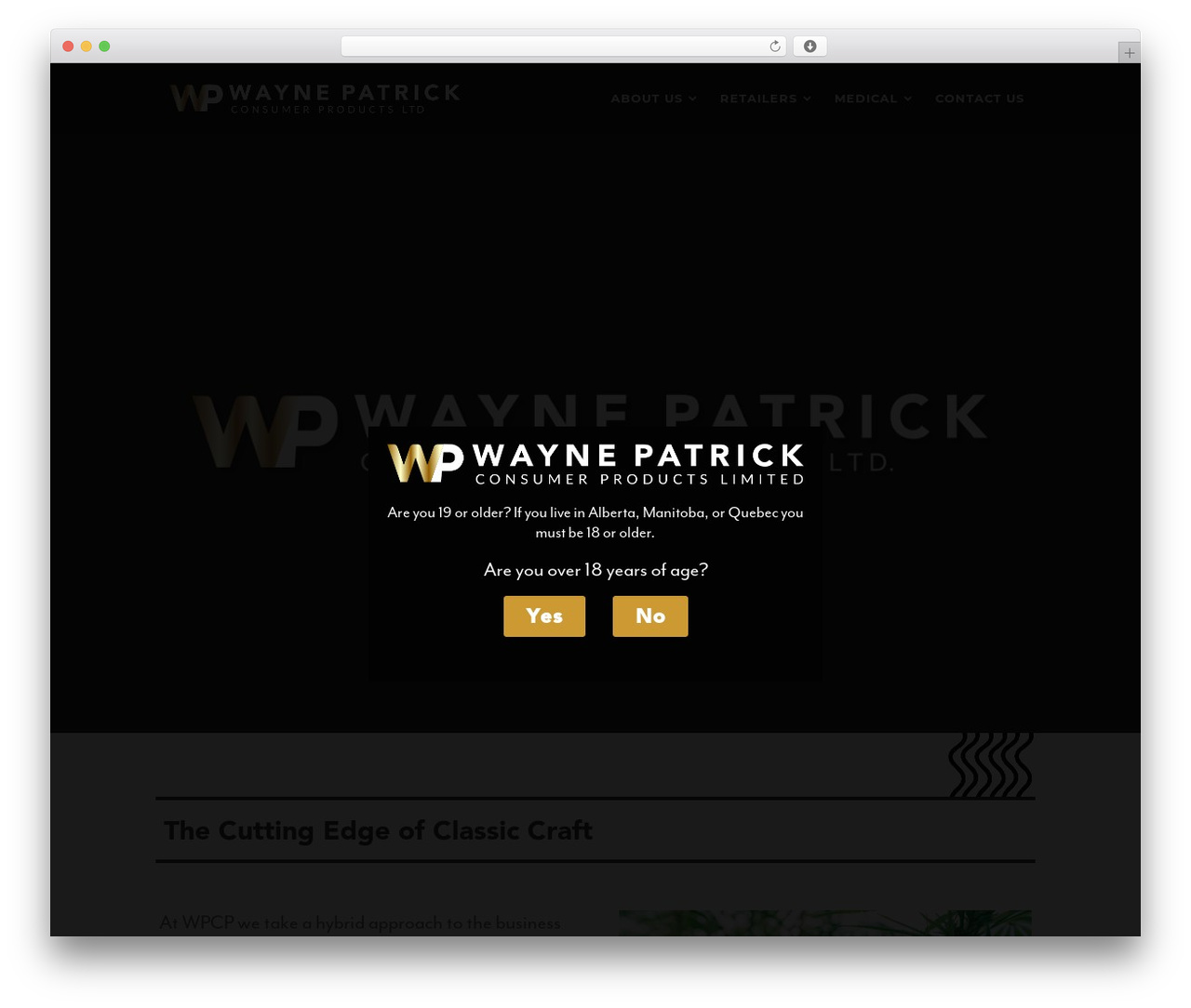 Theme WordPress Divi - waynepatrickcp.com Theme WordPress Divi - waynepatrickcp.com