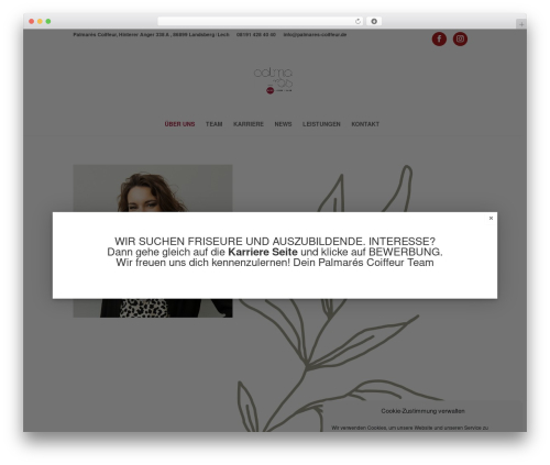Embedder for google reviews WordPress plugin - palmares-coiffeur.de